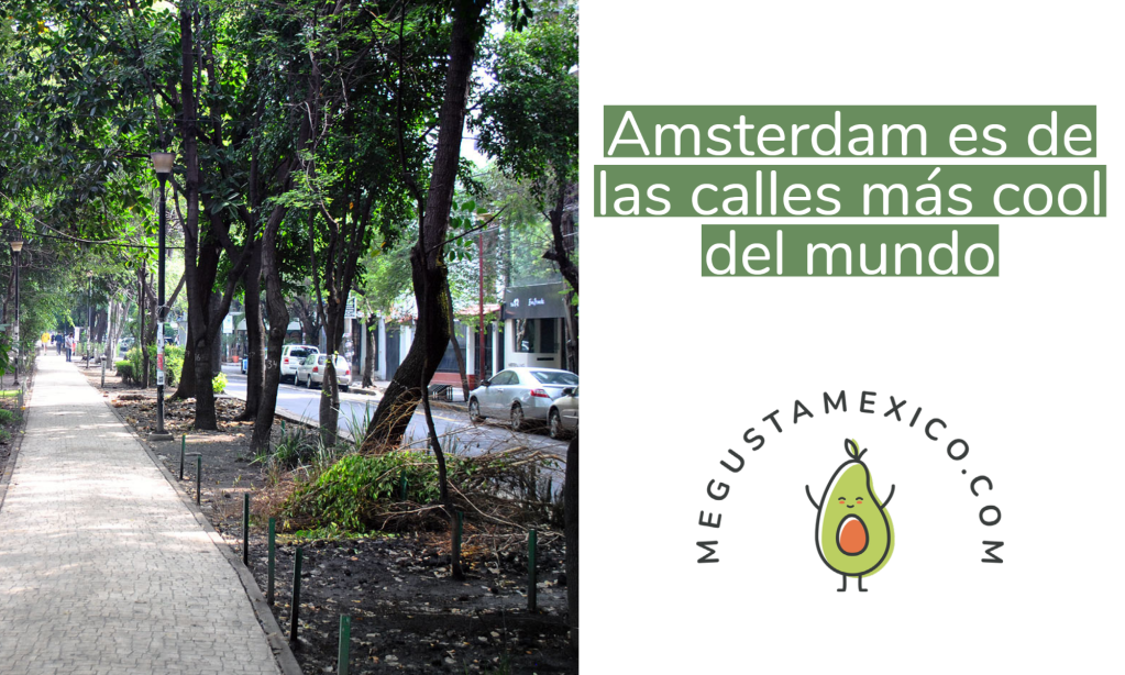 Una de las calles más «cool» del mundo está en la&nbsp;CDMX