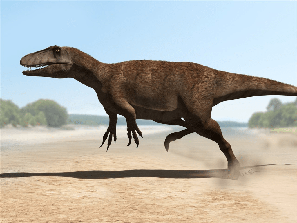 Hallazgo argentino cambiará lo que sabes de la extinción de los&nbsp;dinosaurios